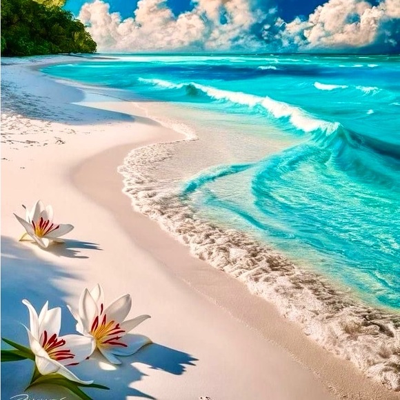 🌴🌺🌴🌺🌴🌺🌴🌺🌴🌺🌴🌺🌴🌺🌴🌺🌴 - Picture 3 of 7